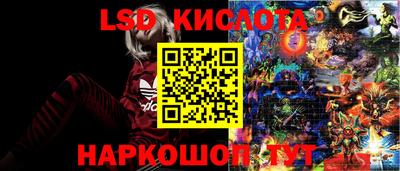 стаф Малоярославец