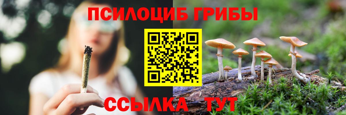 Галлюциногенные грибы Magic Shrooms Ивантеевка